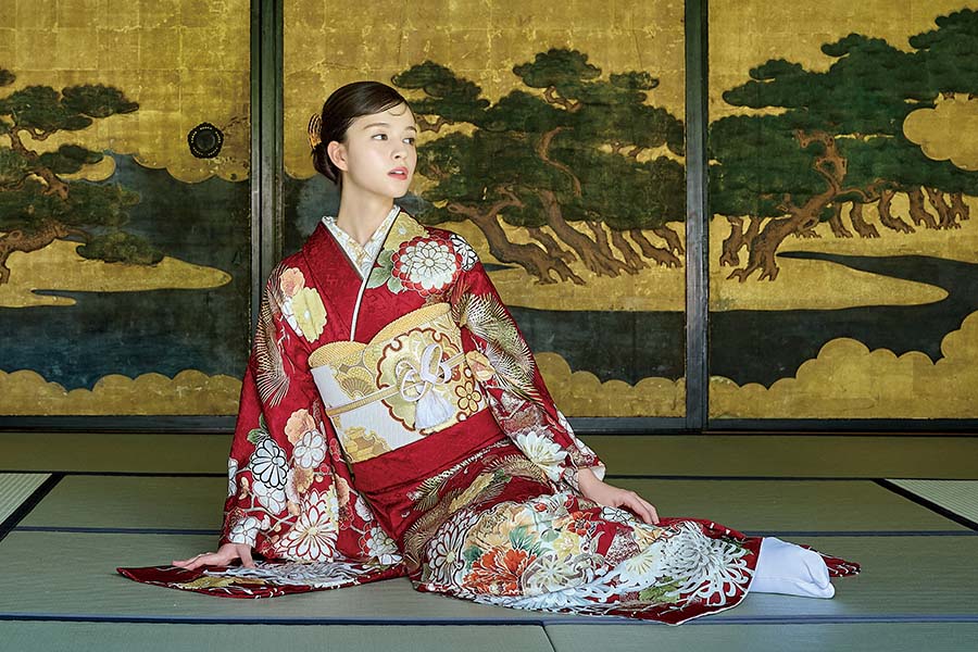 赤地に菊と松が華やぐ、格調高い王道古典柄振袖〈No.FL-E315〉【NEW】の画像2枚目